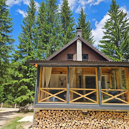 Black Lake Chalet Žabljak Екстериор снимка