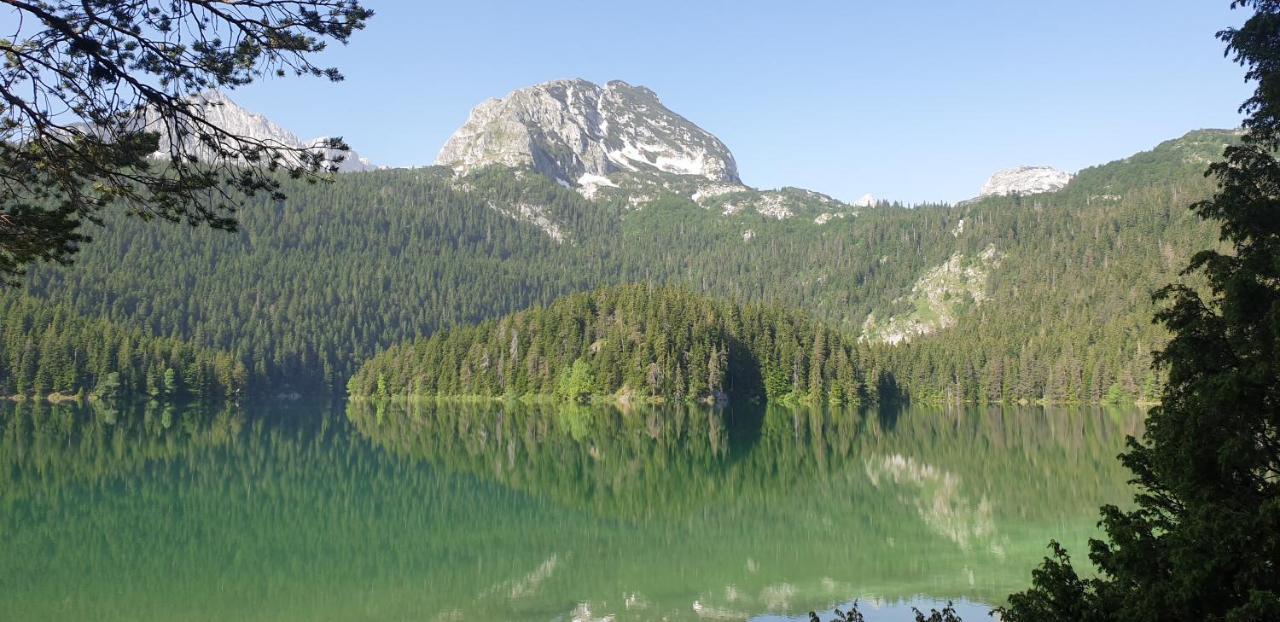 Black Lake Chalet Žabljak Екстериор снимка