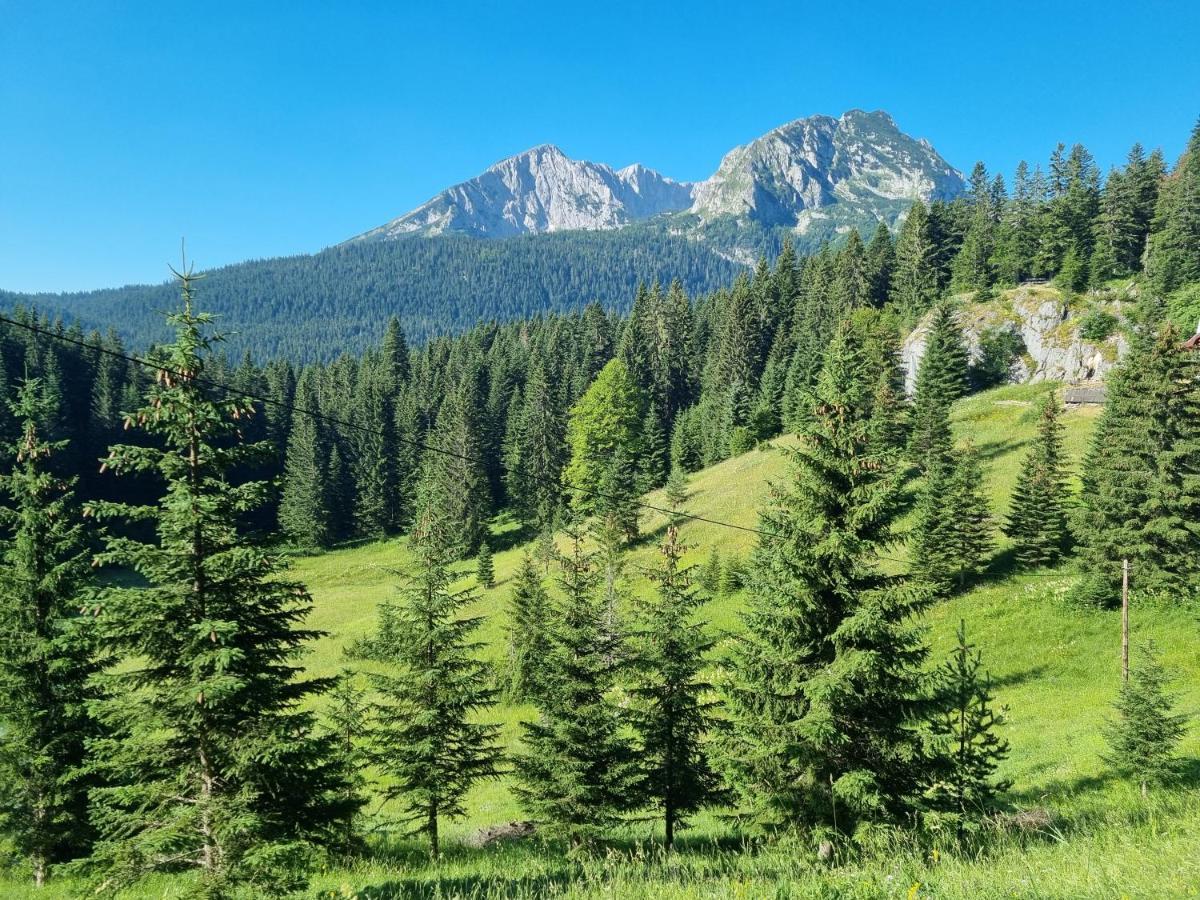 Black Lake Chalet Žabljak Екстериор снимка